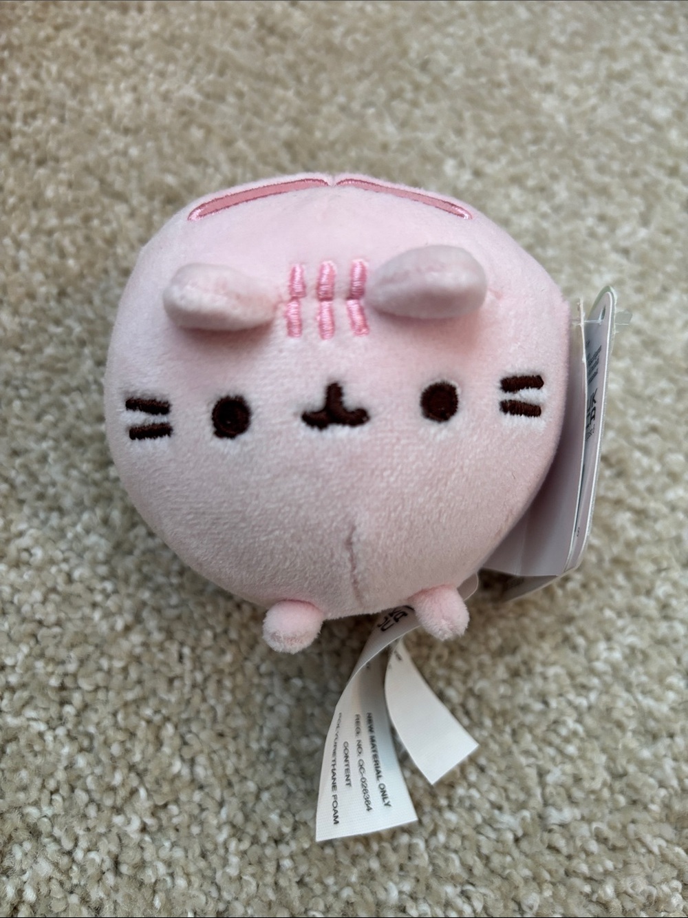 Pusheen Pink Cat